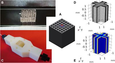 Simulative Minimization of Mass Transfer Limitations Within Hydrogel-Based 3D-Printed Enzyme Carriers